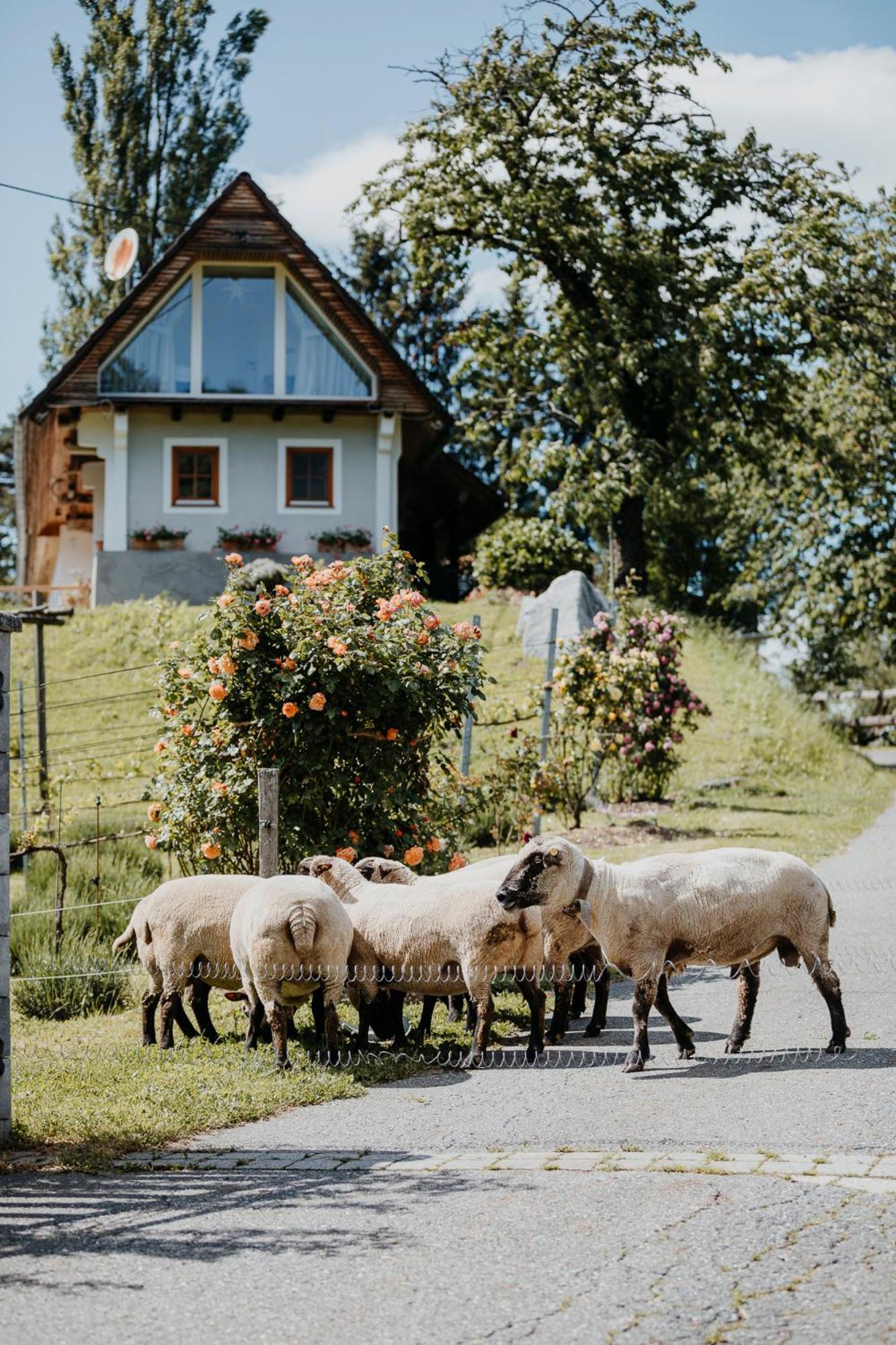 Ferienhaus Am Herbsthof Лойчах Екстер'єр фото